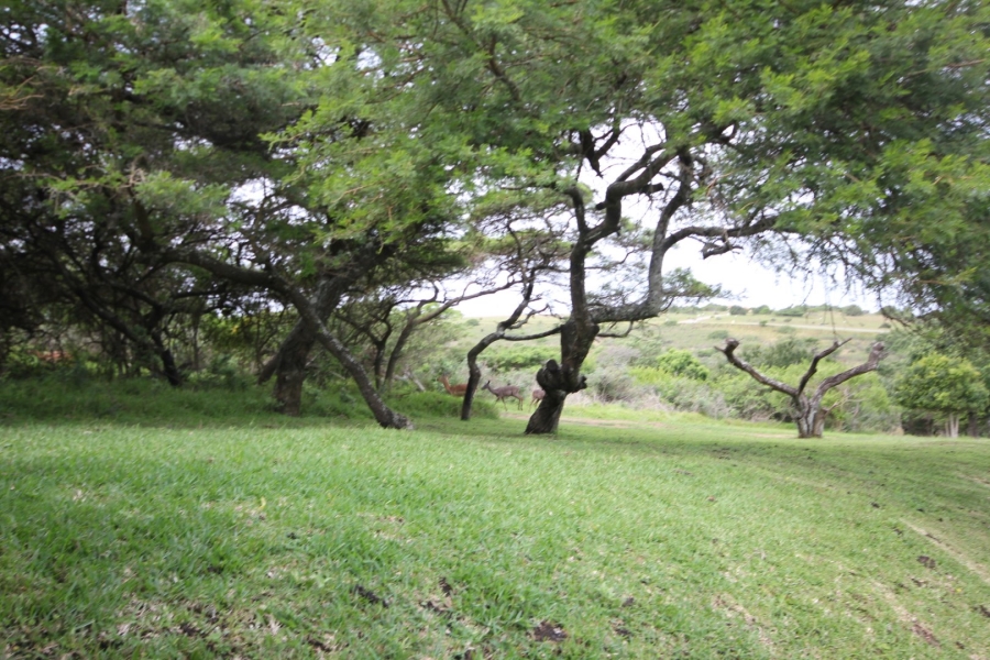0 Bedroom Property for Sale in Khamanga Bay Eastern Cape